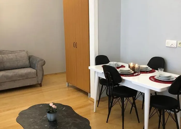 公寓 Ozcans Pera Flats 2 伊斯坦布尔