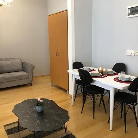 公寓 Ozcans Pera Flats 2 伊斯坦布尔