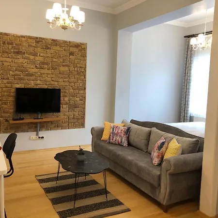 Ozcans Pera Flats 2 公寓 伊斯坦布尔